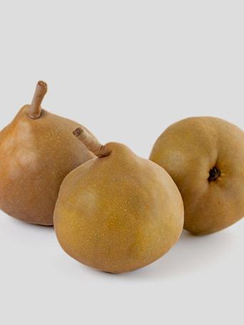 PERAL GRAND CHAMPION 10L