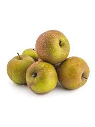 MANZANO REINETA GRIS C25