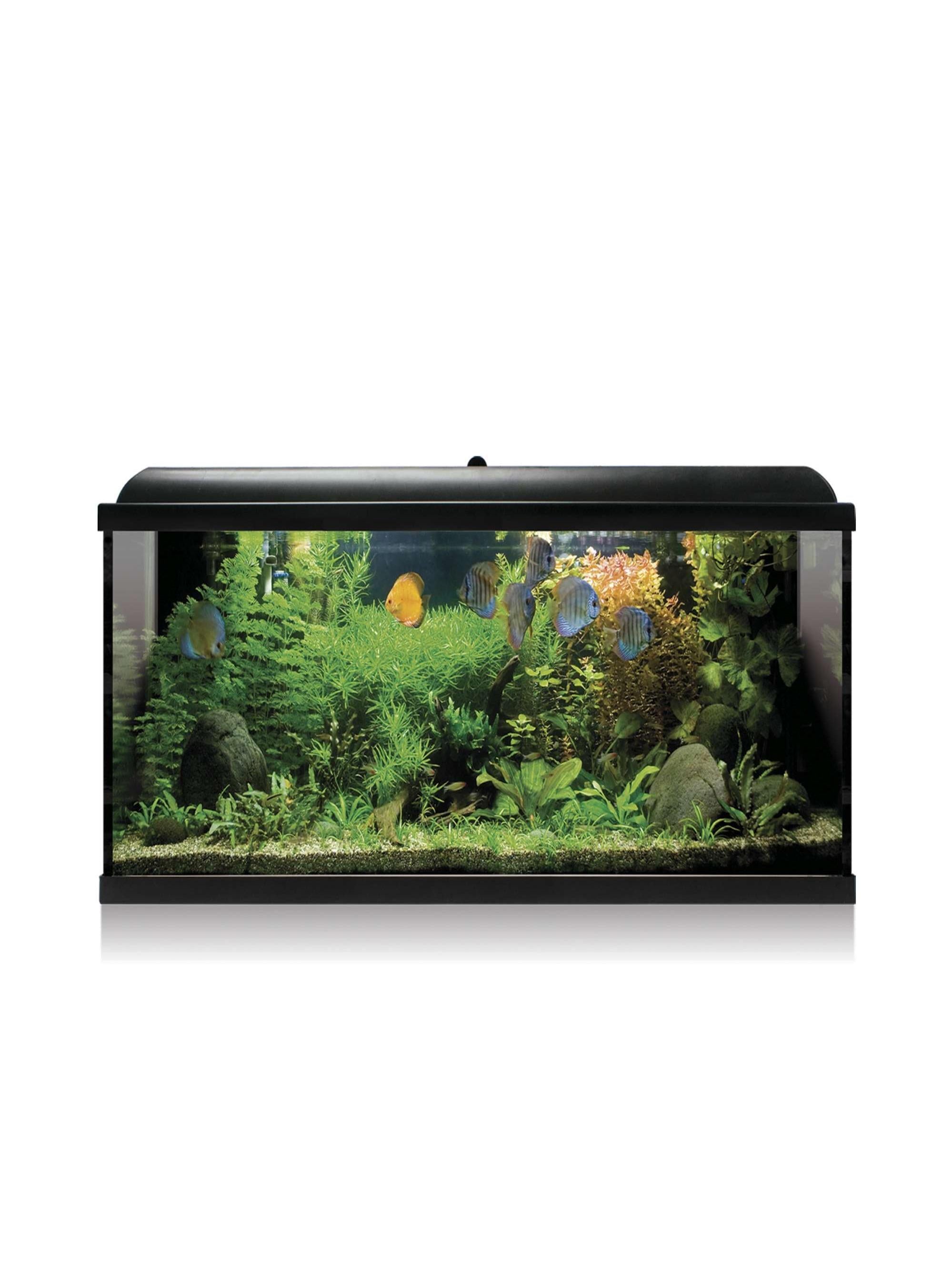 KIT INTERIOR AQUALED 100
