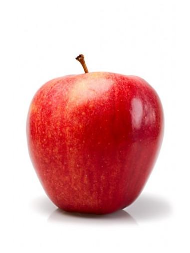 MANZANO STARKING C25