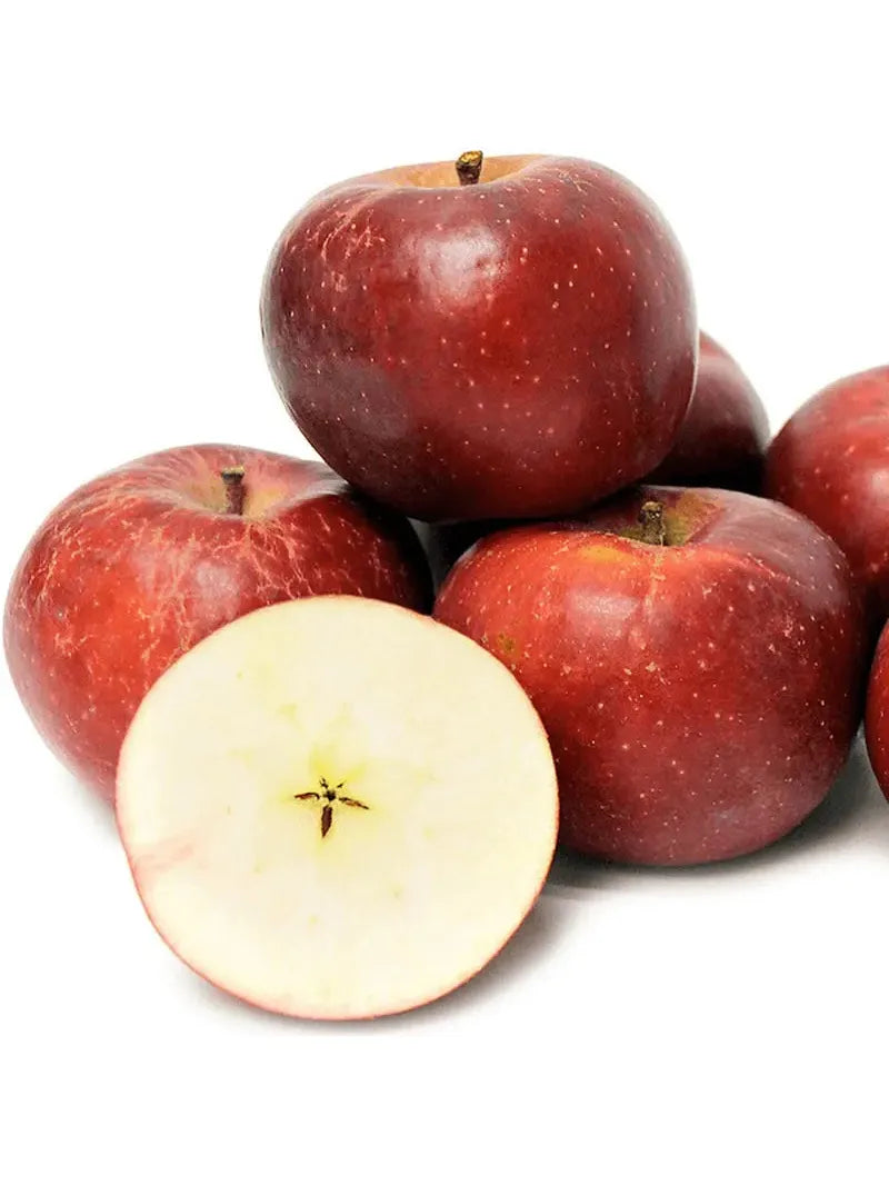 MANZANO BELLEZA DE ROMA C25