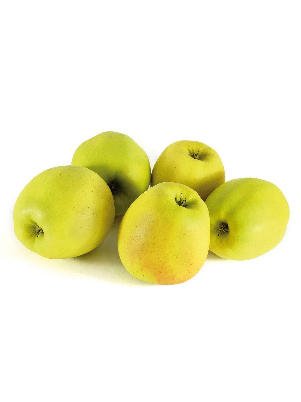 MANZANO REPINALDO C25