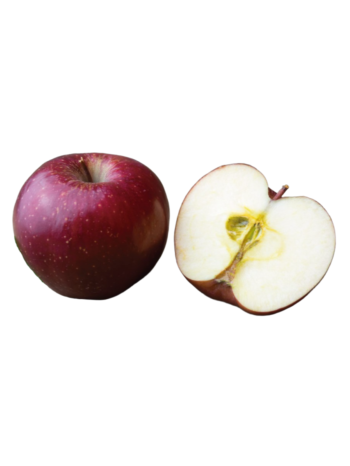 MANZANO SANGRE DE TORO 10L