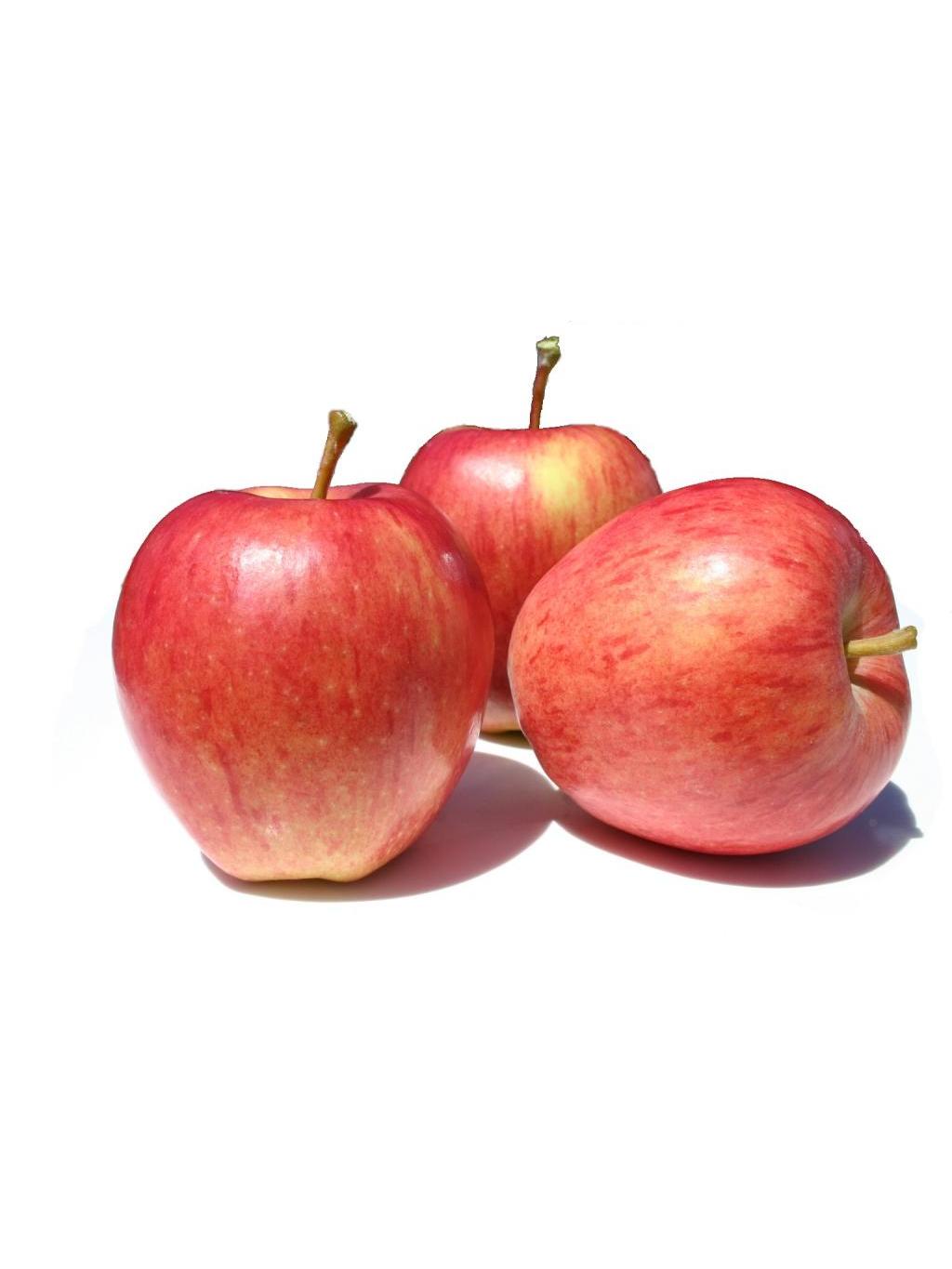 MANZANO ROYAL GALA C25