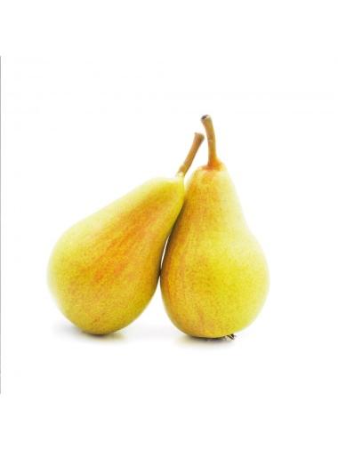 PERAL MUSLO DAMA 10L