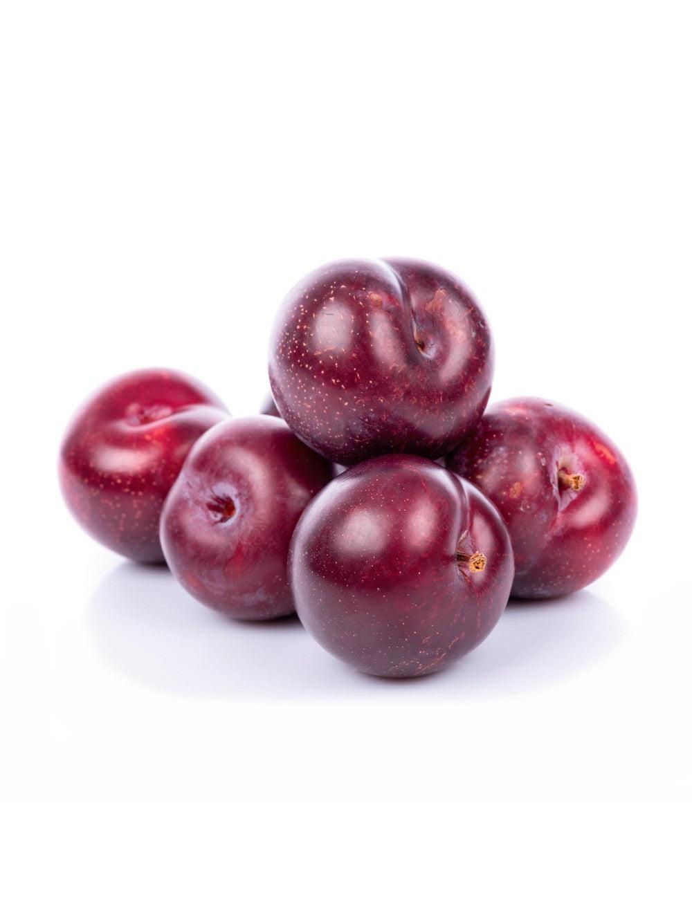 CIRUELO SANTA ROSA C25