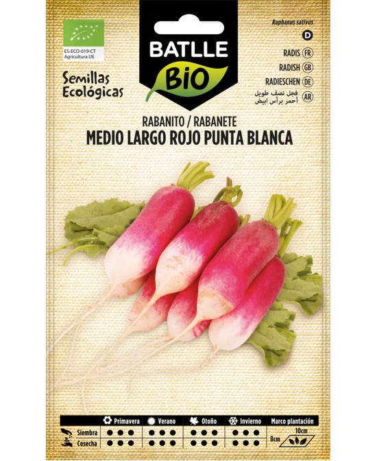 RABANITO MEDIO LARGO ROJO PUNTA BLANCA