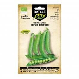 GUISANTE ALDERMAN ECO