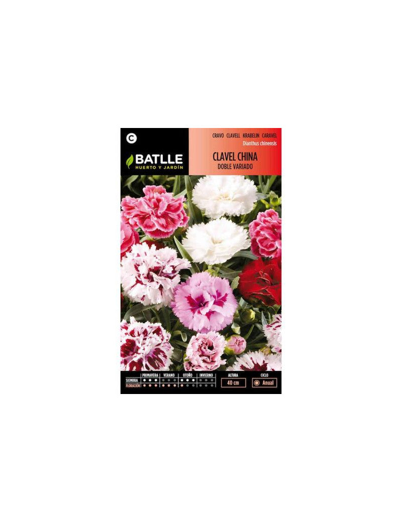 CLAVEL CHINA DOBLE VARIADO