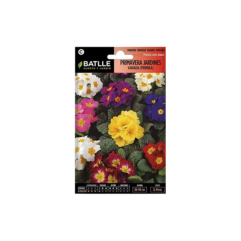PRIMAVERA JARDINES PRIMULA