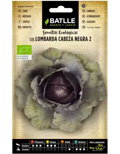 COL LOMBARDA ECOLOGICA