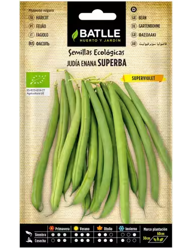JUDIA SUPERVIOLET ECO