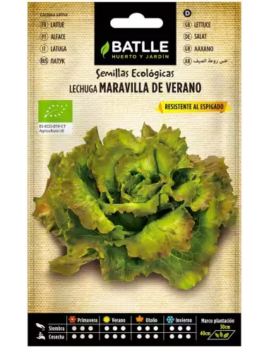 LECHUGA MARV.VERANO-ECO