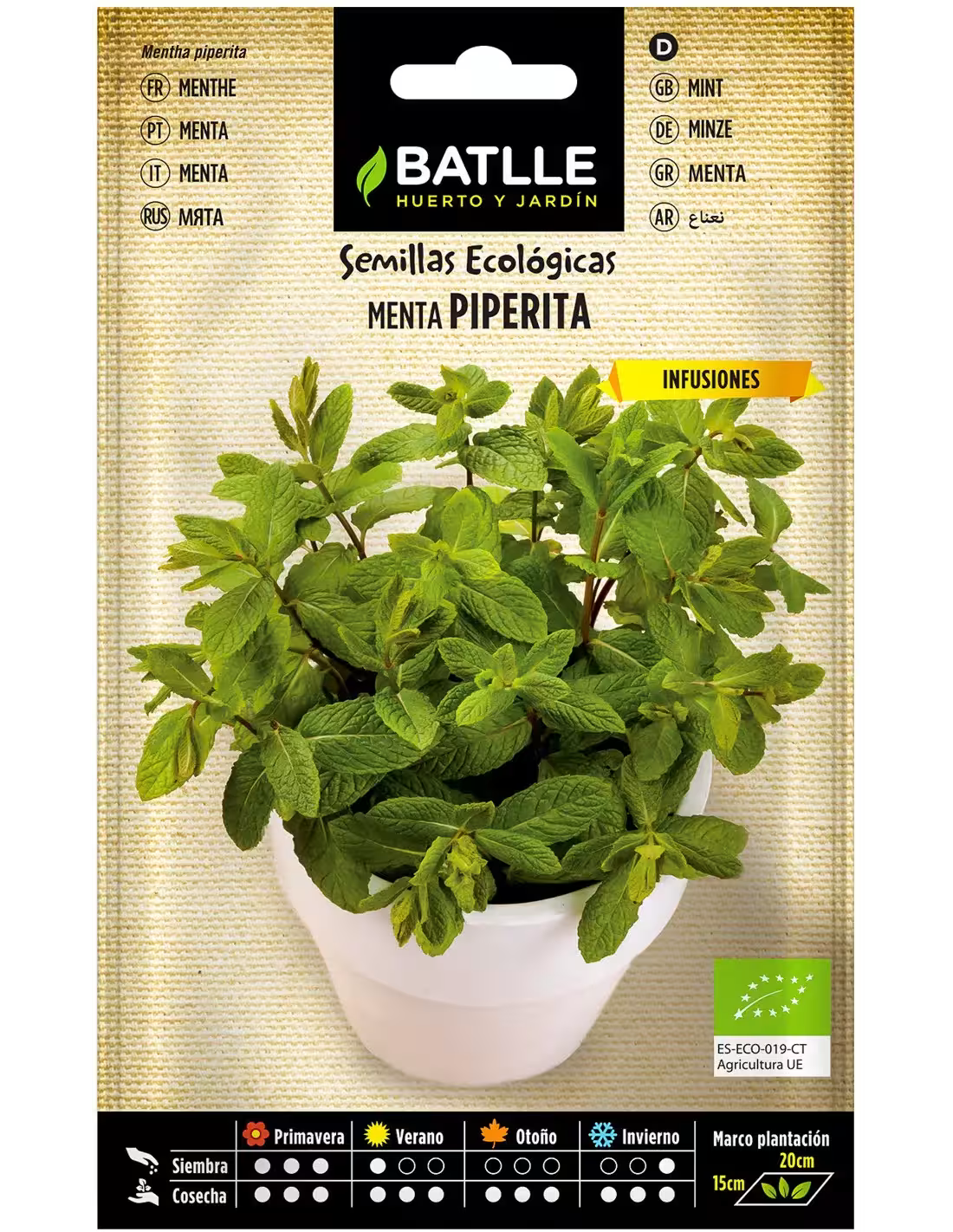 MENTA-ECO