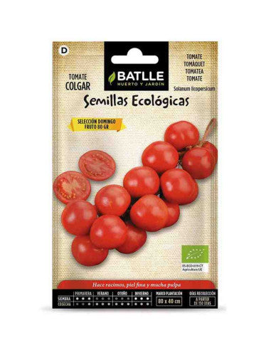 TOMATE COLGAR ECO