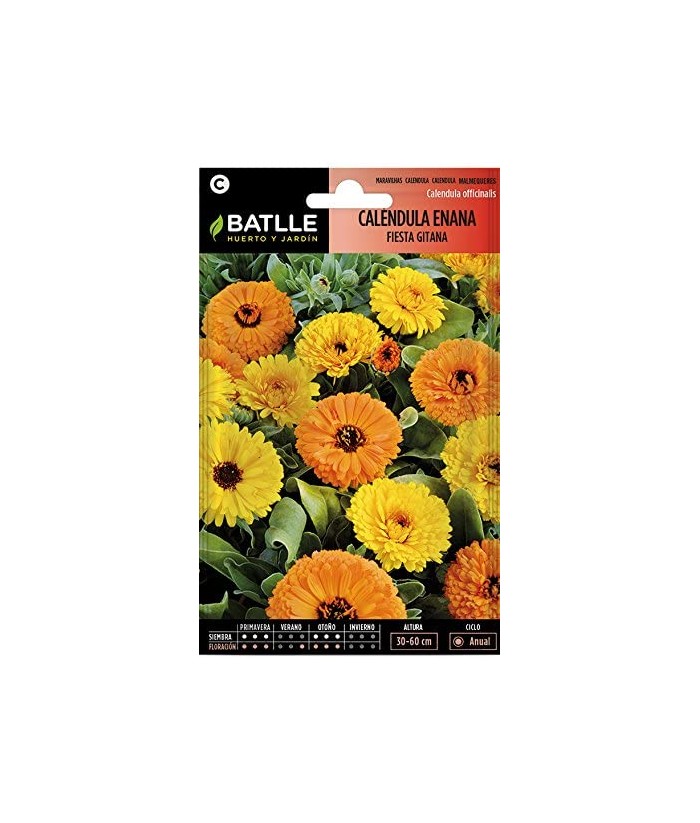 CALENDULA ENANA FIESTA GITANA