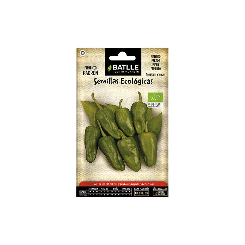 PIMIENTO PADRON ECO